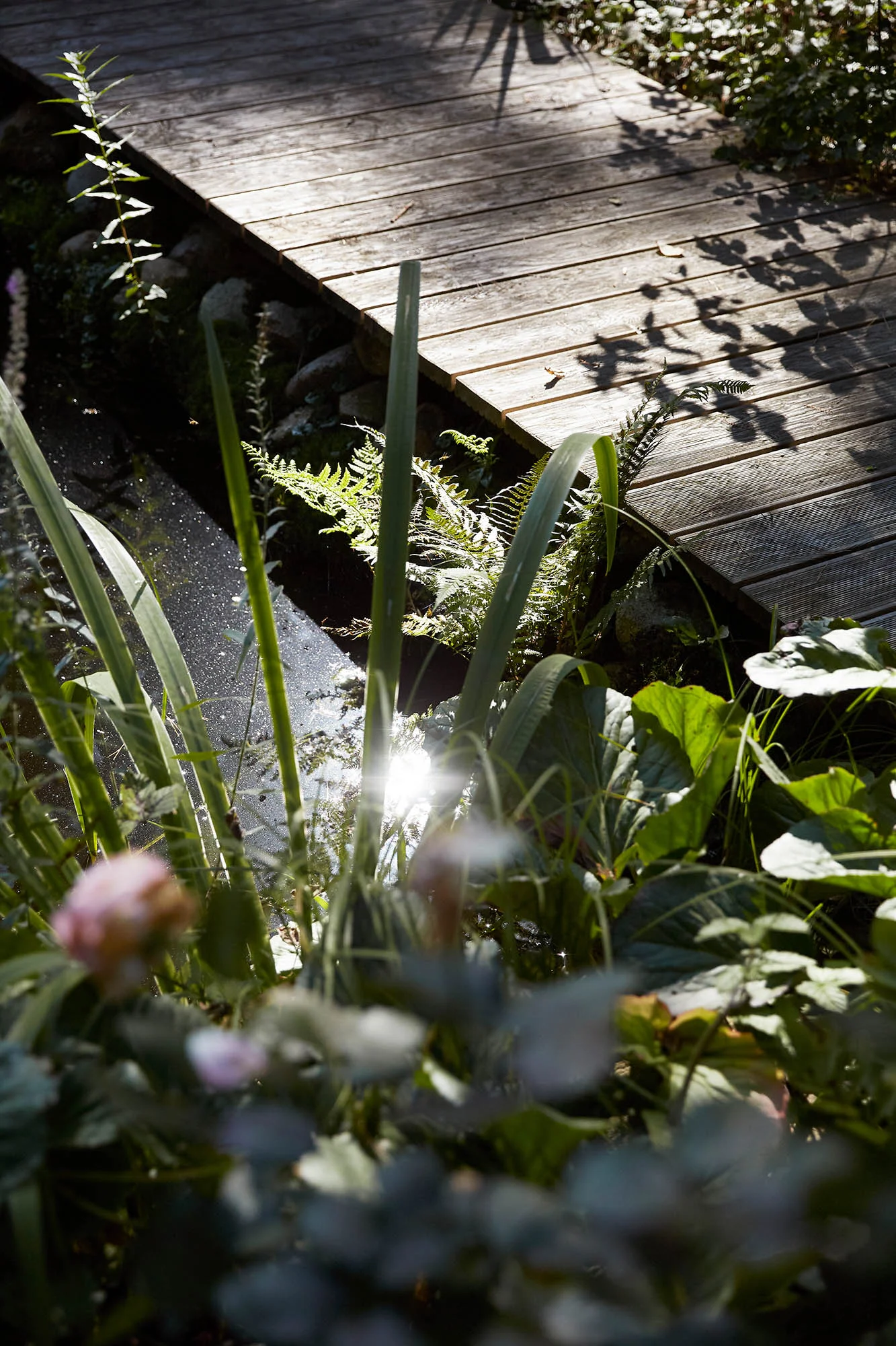 by Daniel Suhre represented by stoever artists