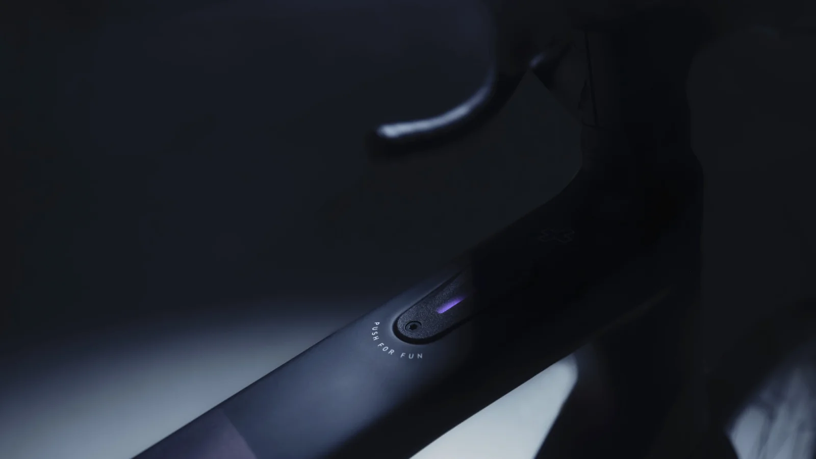 Rose by Valentin Mühl represented by stoever artists