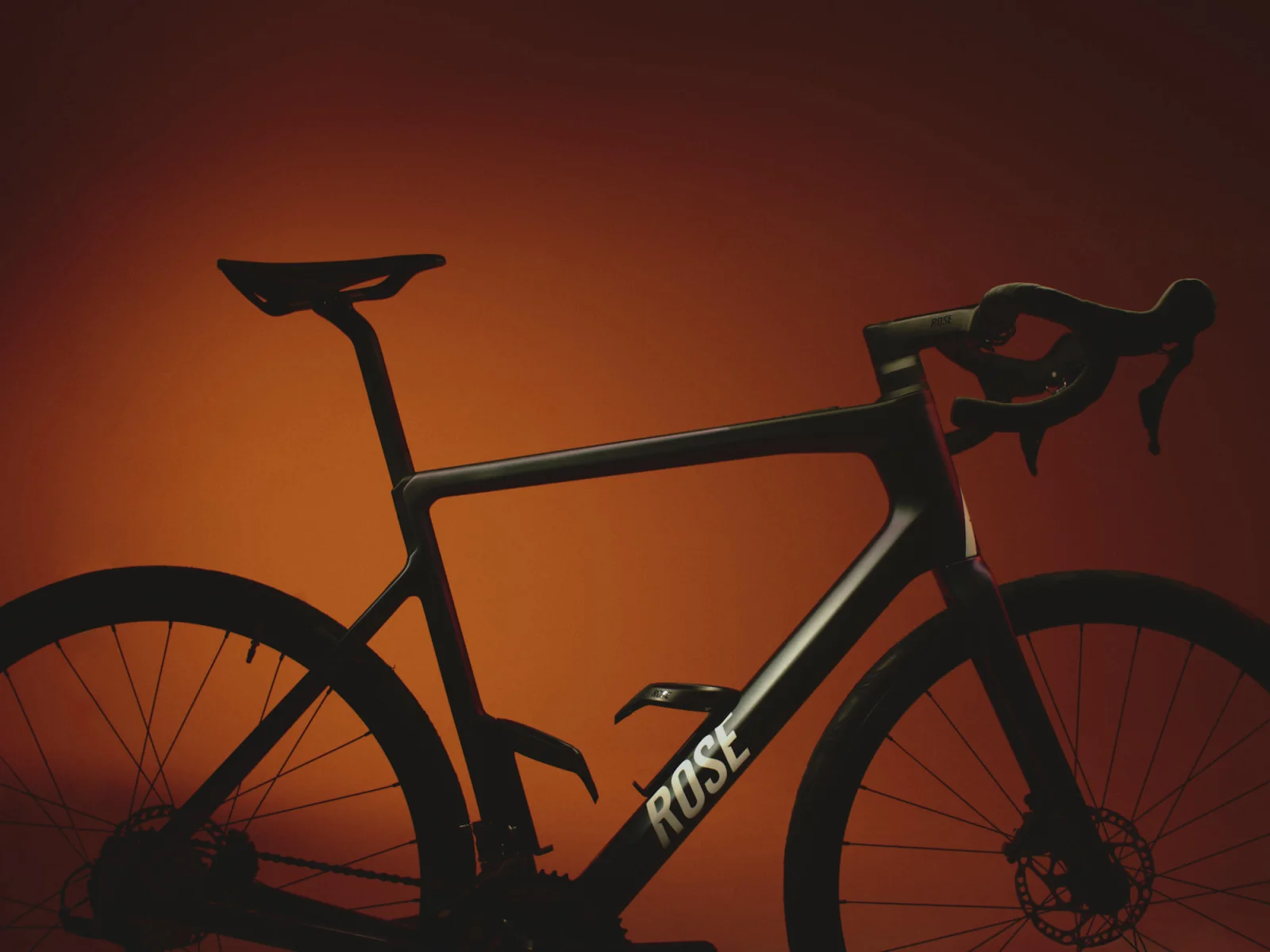 Rose Bike by Valentin Mühl represented by stoever artists